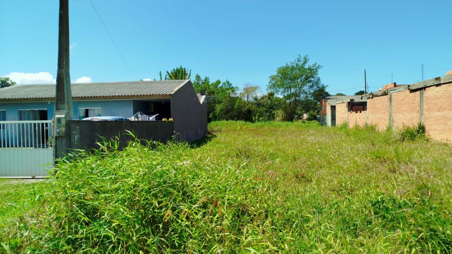 Terreno - Venda - Praia de Leste - Pontal do Paran� - PR