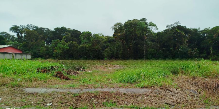 Terreno - Venda - Guarapari - Pontal do Paran� - PR