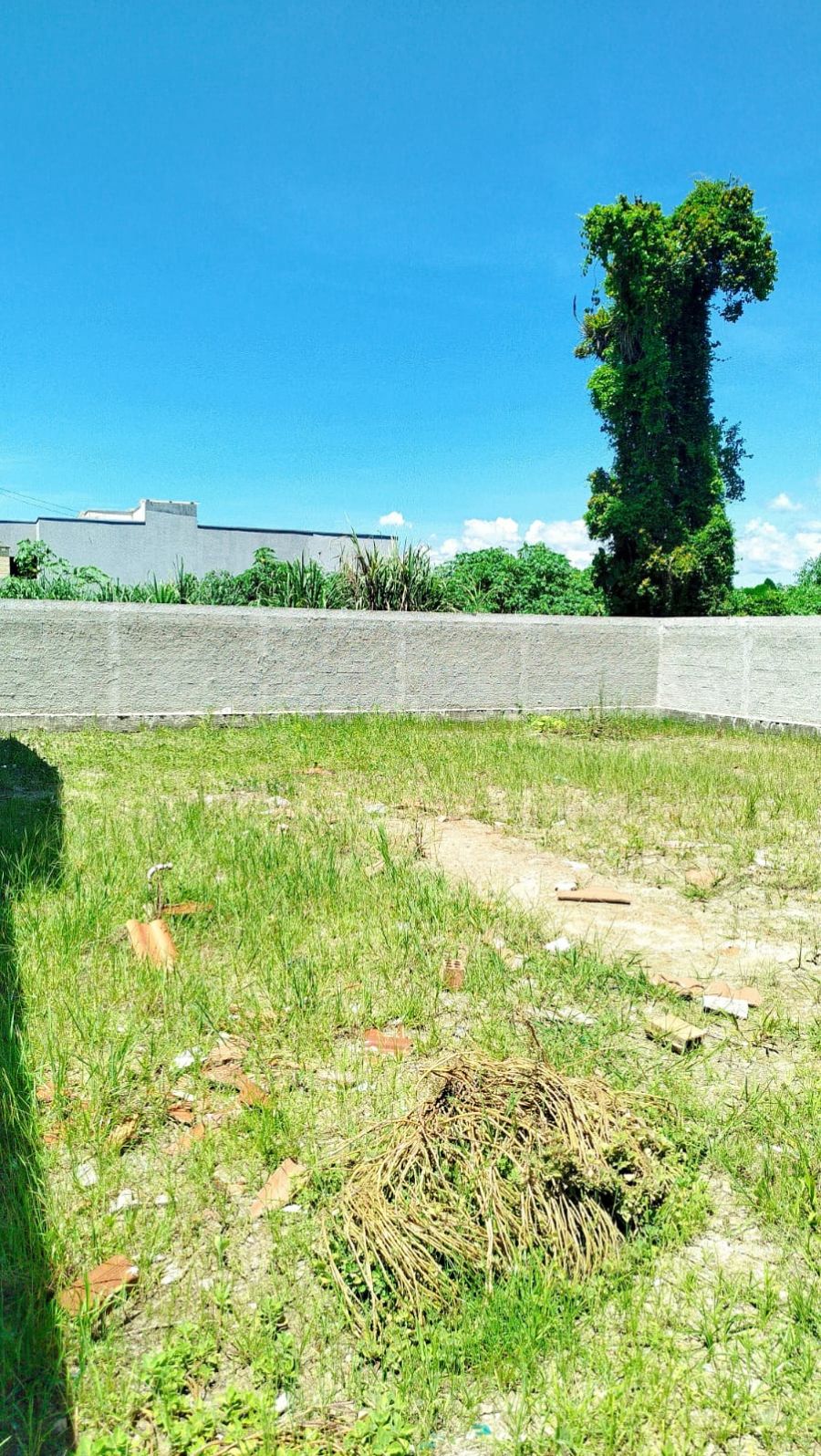 Terreno - Venda - Las Vegas - Pontal do Paran� - PR