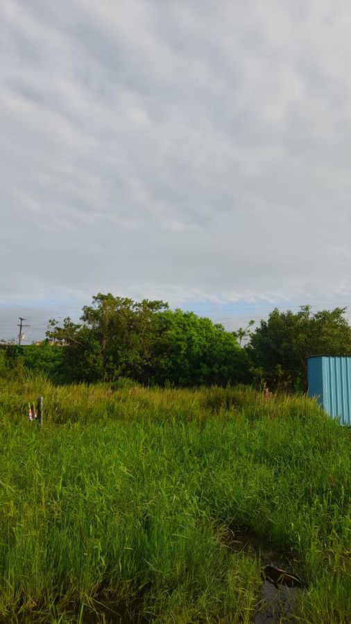 Terreno - Venda - Pontal do Sul - Pontal do Paran� - PR